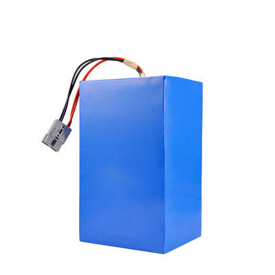 Protezione di carica/scarica di bilanciamento 48V 50Ah E Bike Battery Pack per un utilizzo ottimale